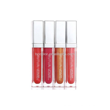 Traditional Color Popular Lip Gloss